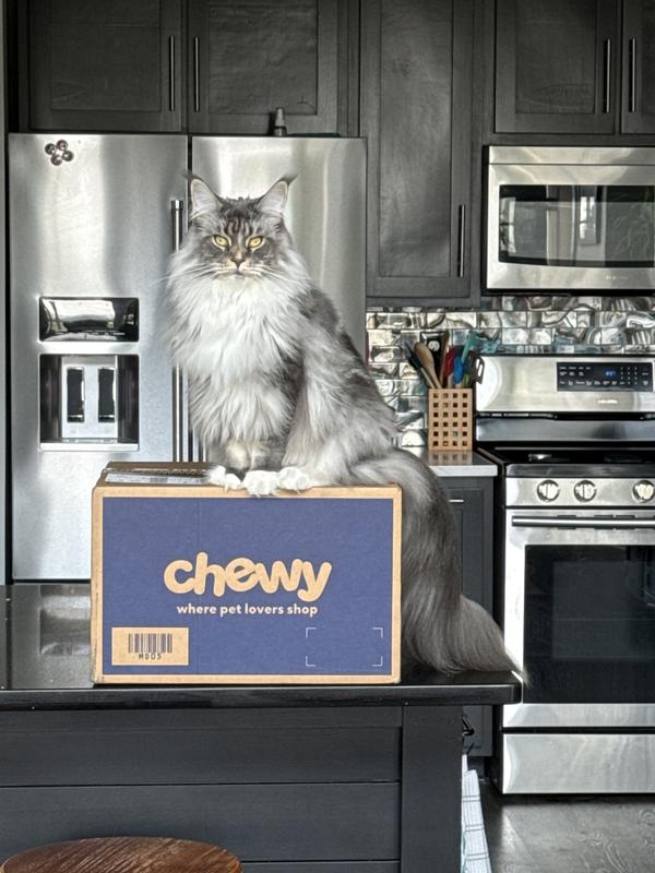 Yep she knew it was for her.