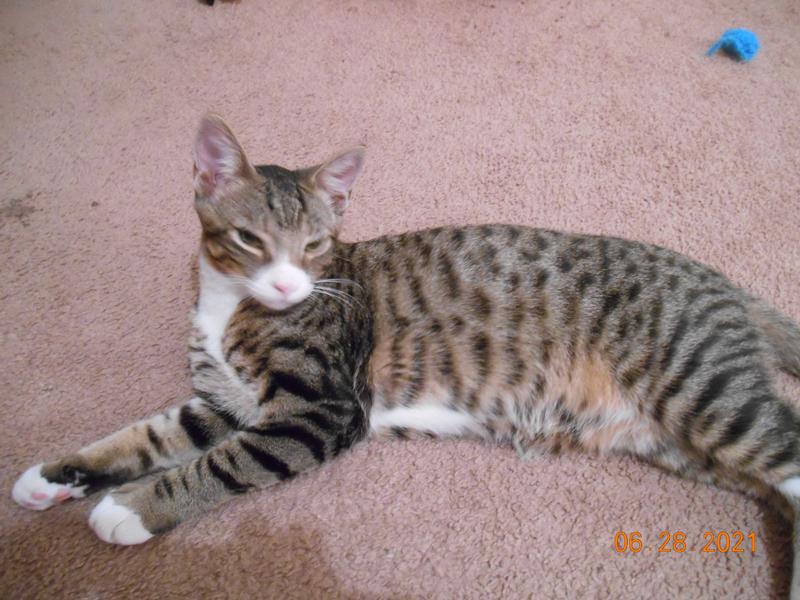 waiting in turn to get on bed