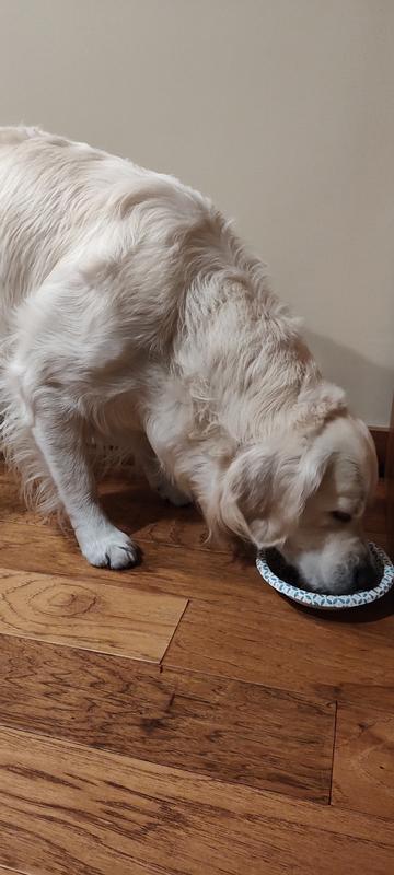 Not a drop is left in his bowl