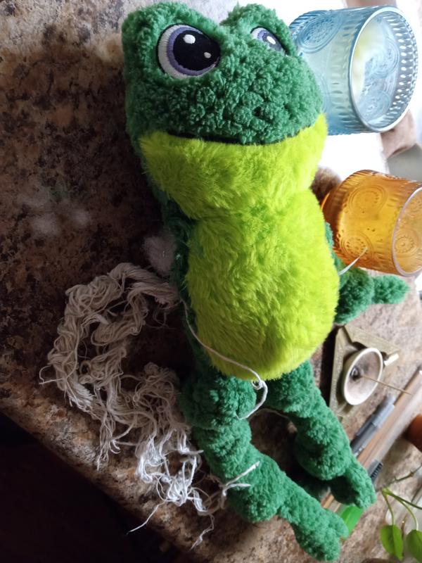 Frog chew toy for Lucy Lu