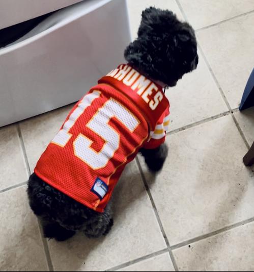 Pets First Kansas City Chiefs NFL Mesh Pet Jersey, X-Small