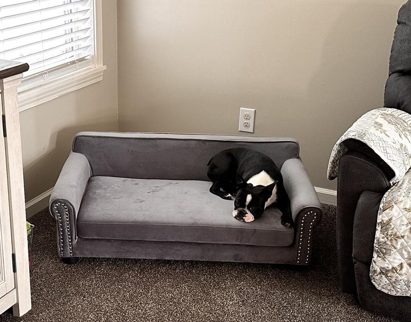 FRISCO Sofa Pet Bed with Removable Cover, Gray, Large