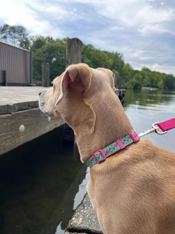 This photo is after nearly 2 months of wear, haven’t washed it, and she wears it daily. Has held up great!