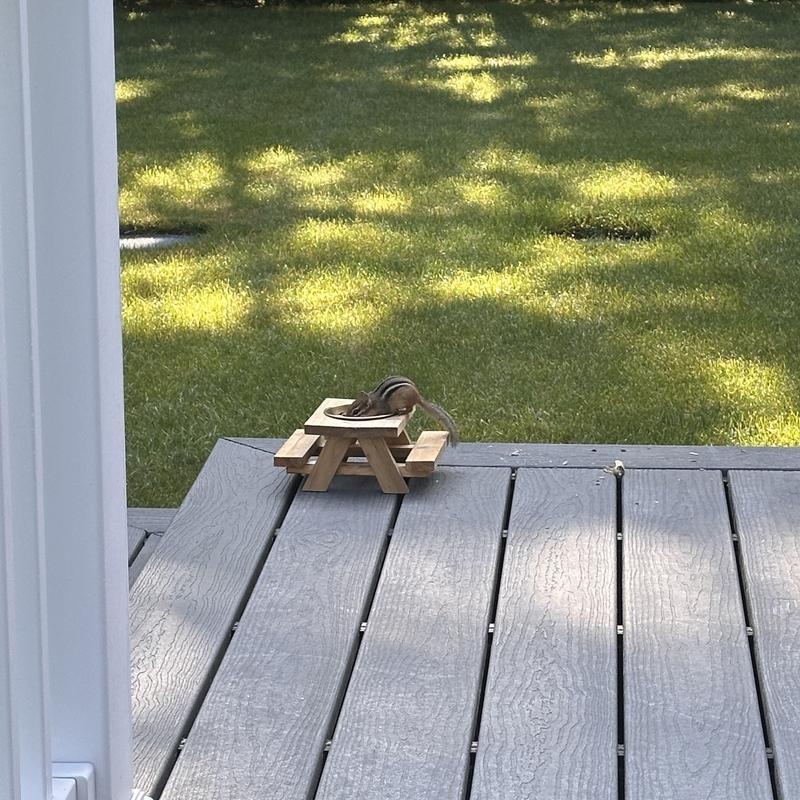Eating breakfast