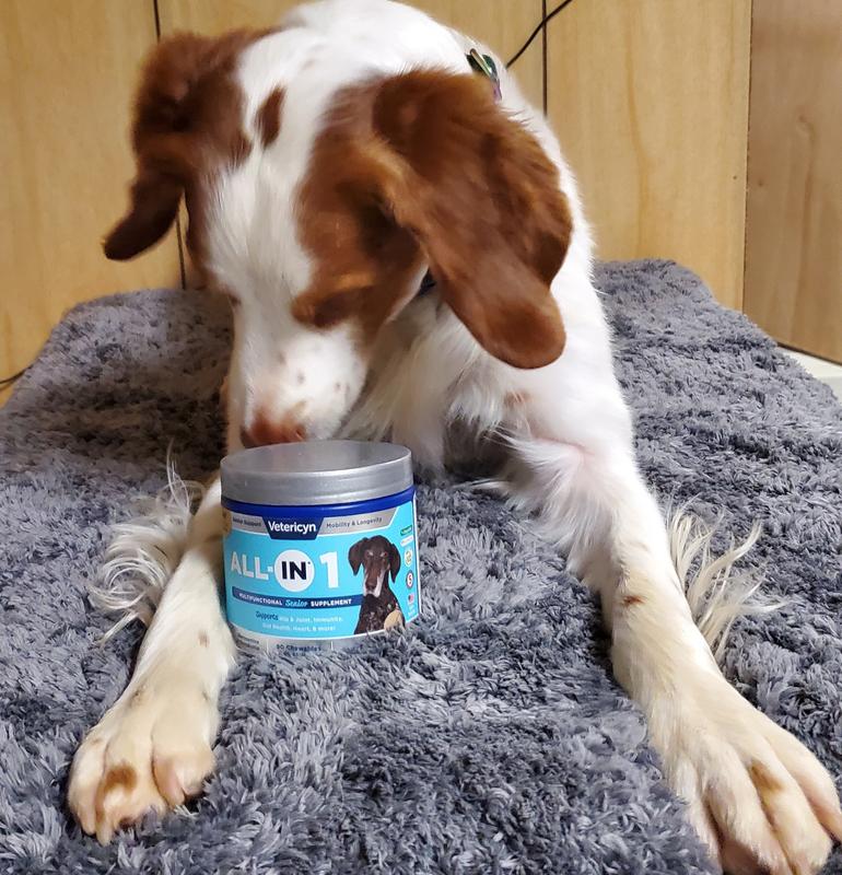 Photoshoot shenanigans