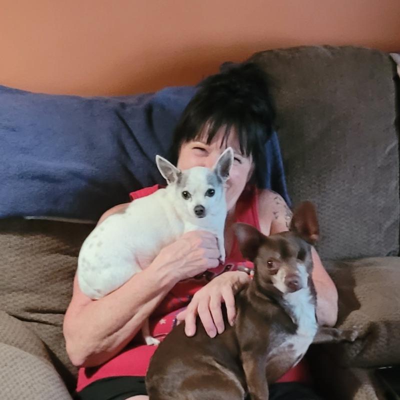 Me, our little Gus, and foster Peanut