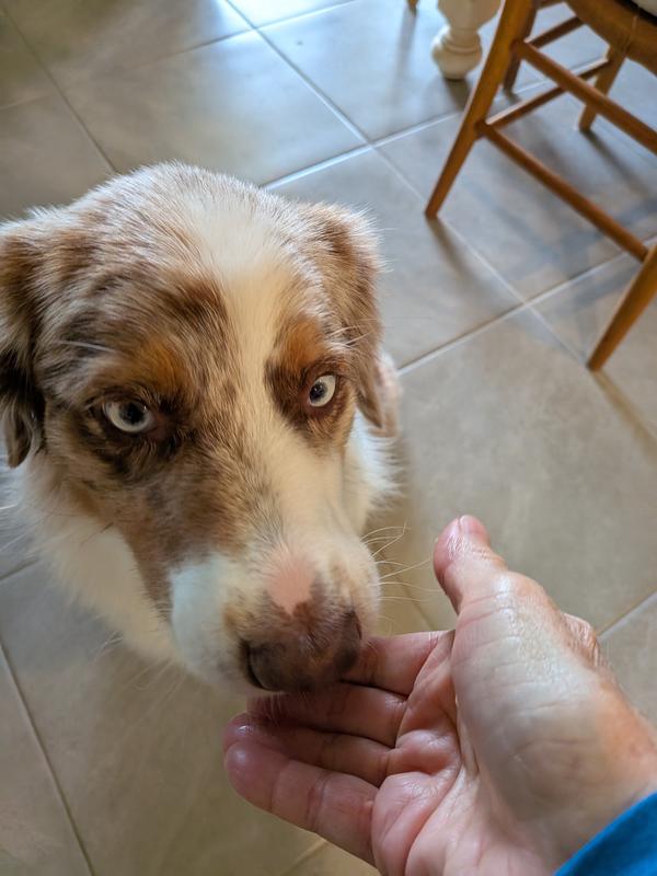 She likes the taste of them!