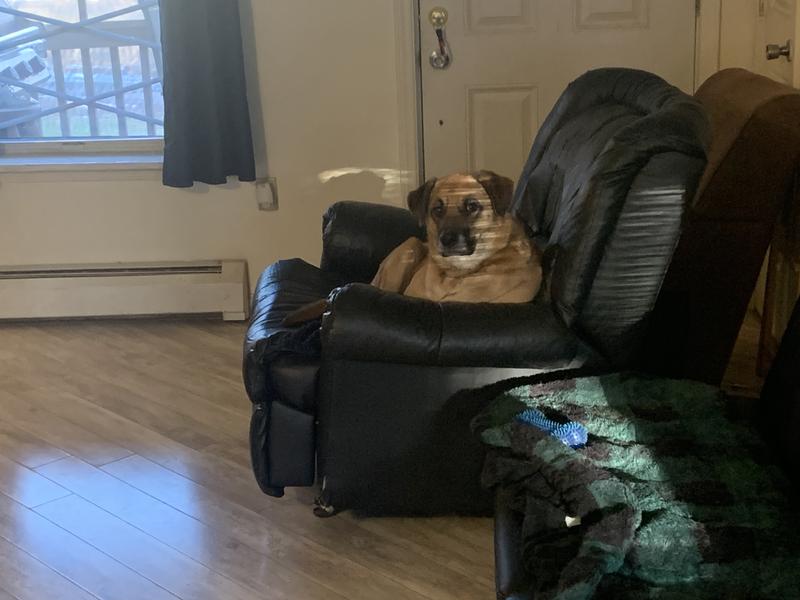 She’s much happier now