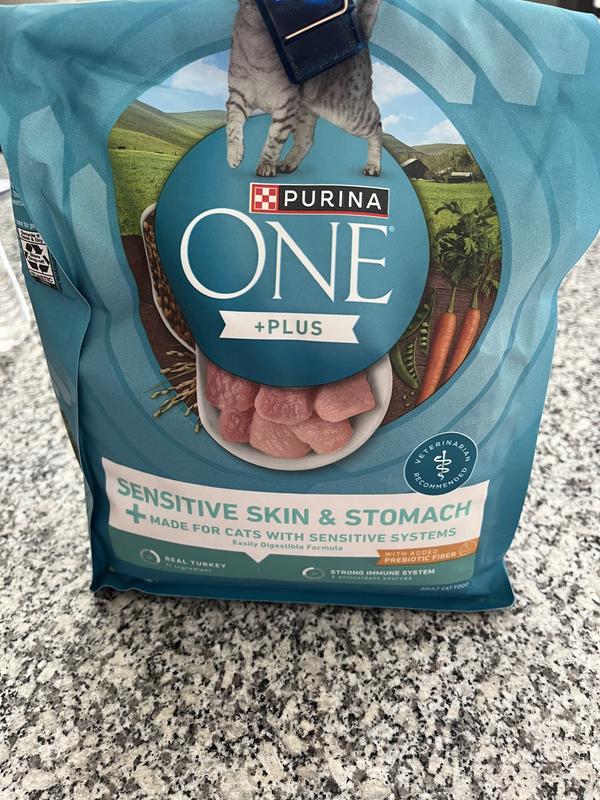 PURINA ONE Plus Sensitive Skin Stomach Natural Adult Dry Cat