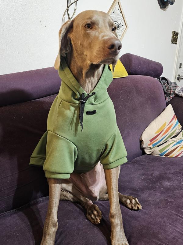 Front View Hood Down