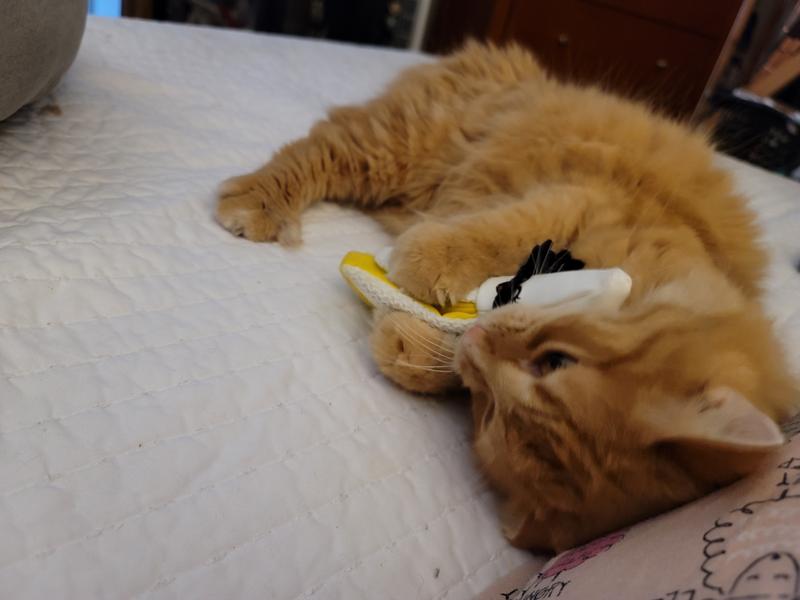 KONG Better Buzz Banana Cat Toy