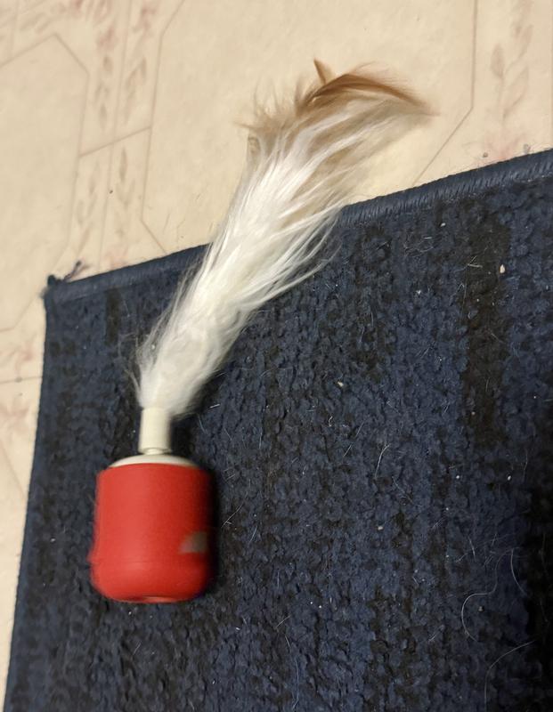 Rolls around on the floor.