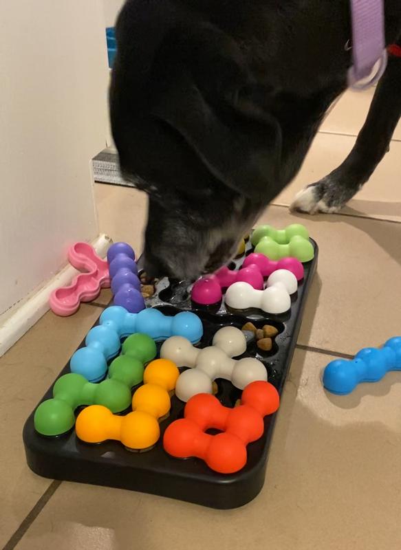 When mealtime doubles as a mental workout 💪🧠🐕