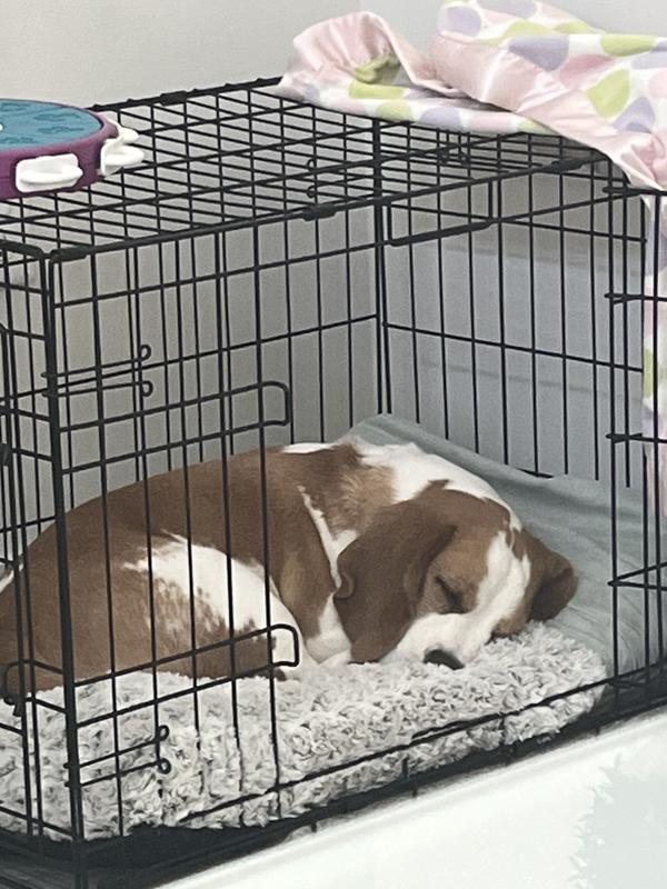 Trazodone (Generic) Tablets