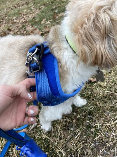 Small Breed Dog Vest Harness Dog Vest Harness Cubs Dog 