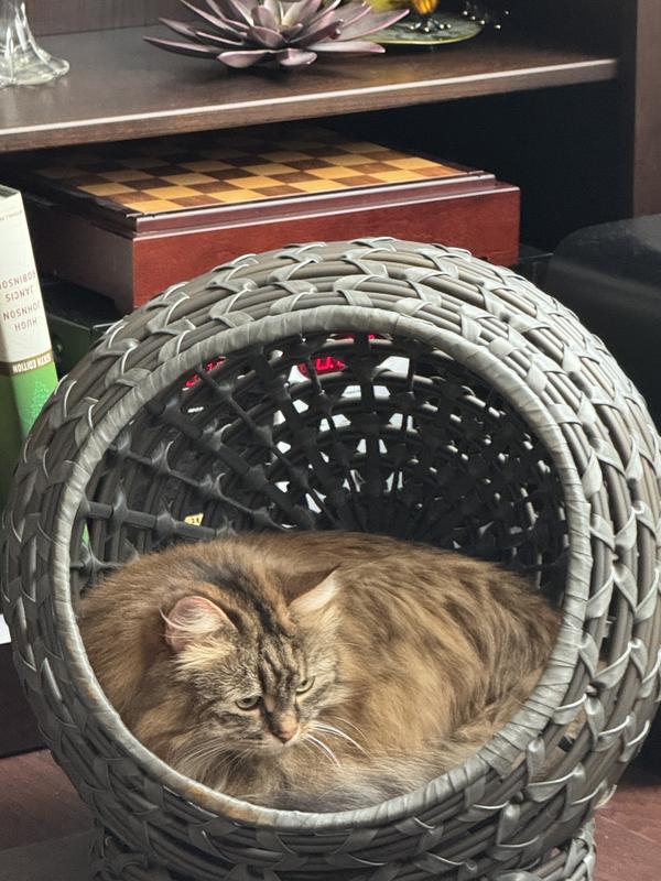 Large enough for my Siberian Cats