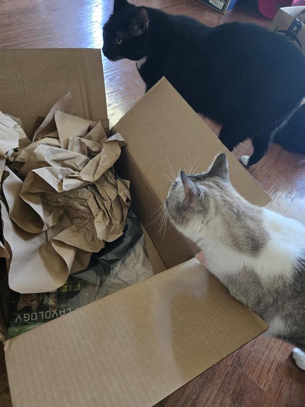 Tink helping to open the box