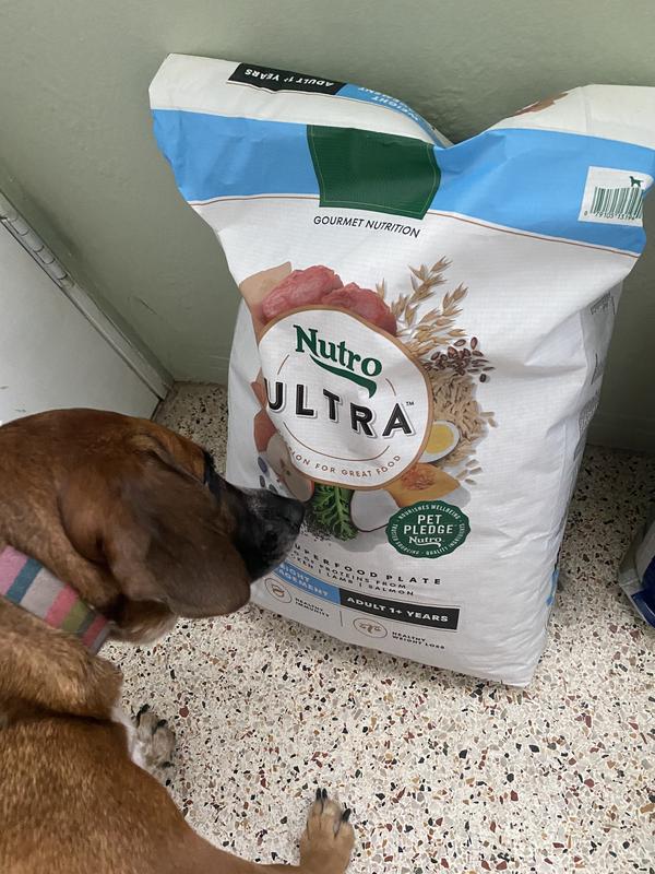 baking powder in cat litter box Cat Litter Deodorizer Powder - Lakeland, FL main image 0