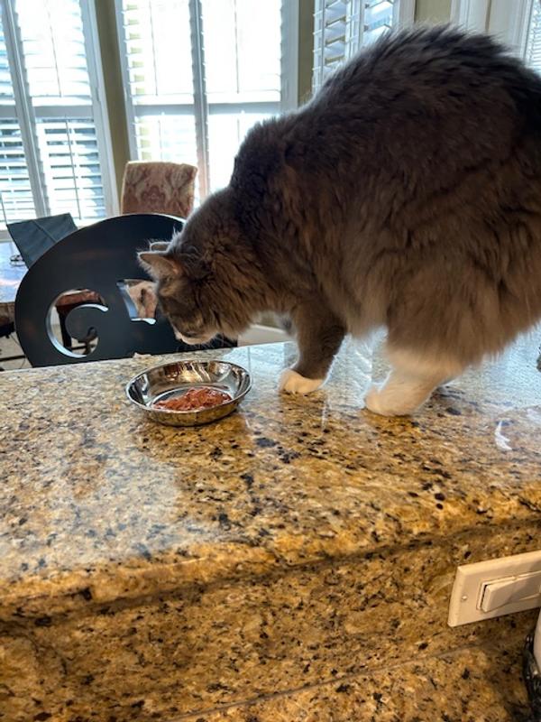 Minced food pieces too big to eat.