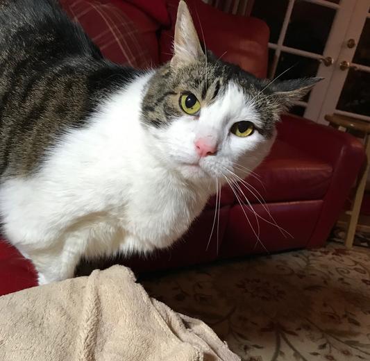 What is the difference between S/D and C/D?