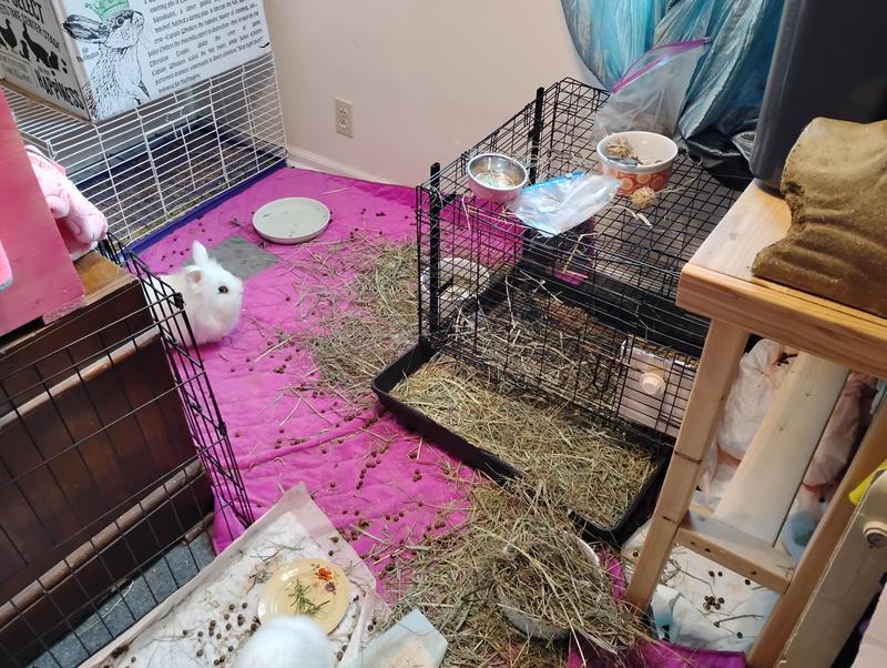 Insanity in 20 hours or less later