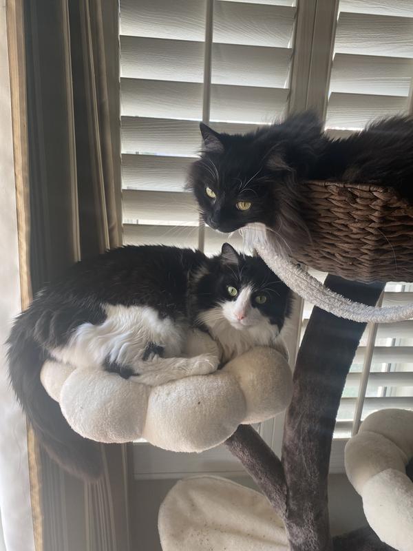 Only the best for these two