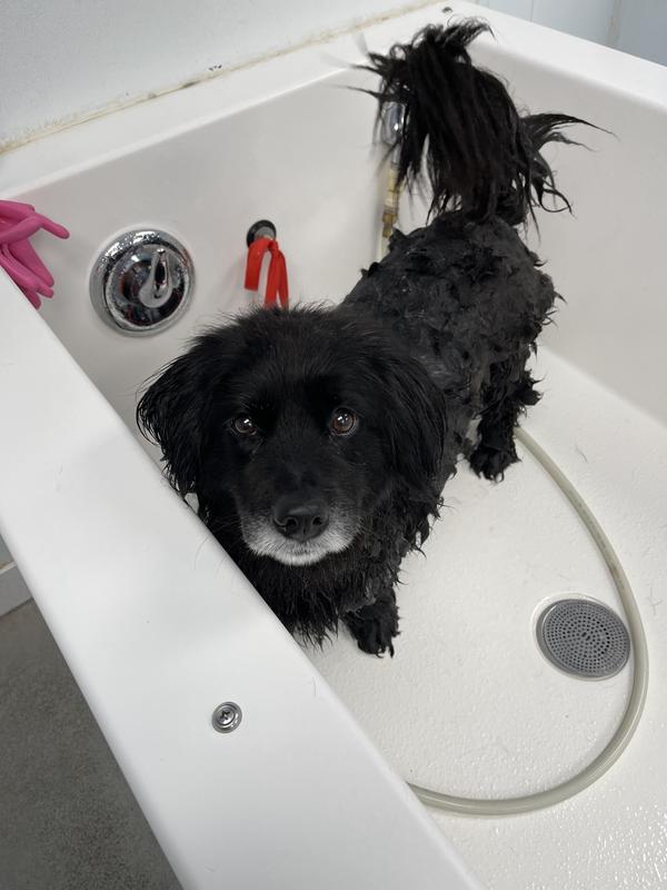 Waiting the 10 minutes of lather