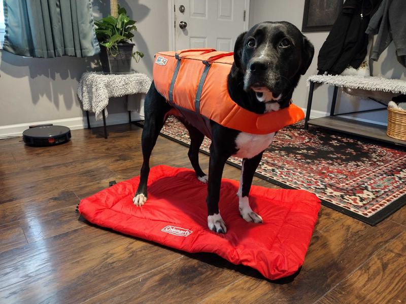 Outward Hound Dog Granby Splash Life Jacket Sz Medium Orange 22020 30-55 lb