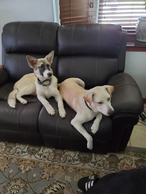 Time to Eat? Yes, Please.