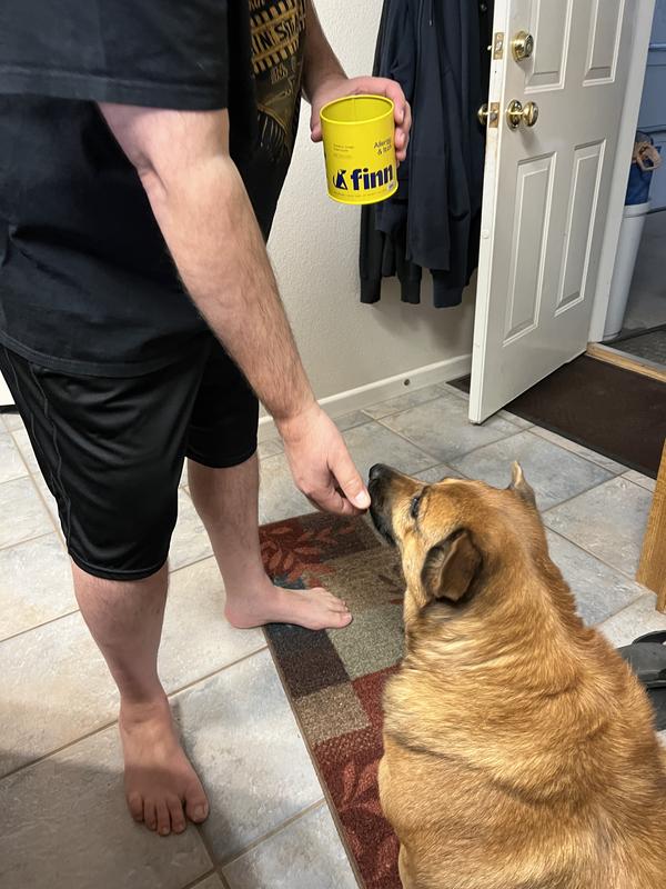 Lea Michele sitting for her Finn treats
