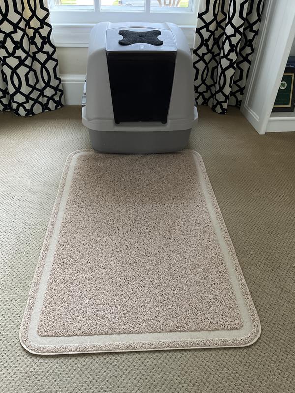 Litter Box No. 2