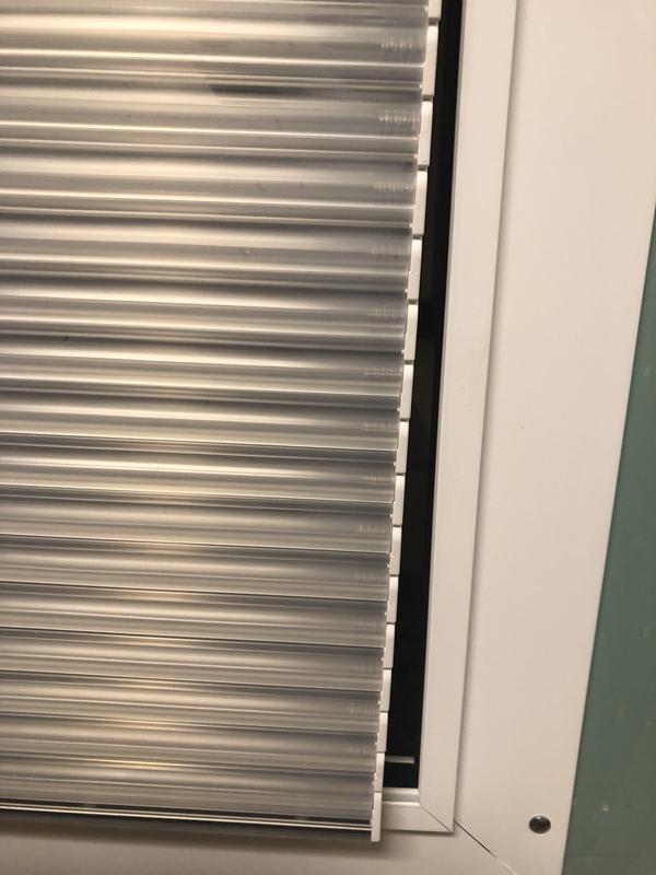 Big gap dogs  can’t go in out