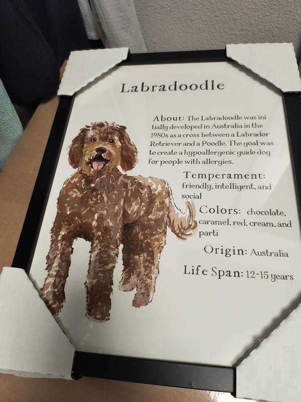 Labradoodle Print
