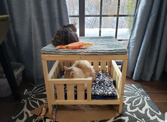 This is within 1 week of receiving