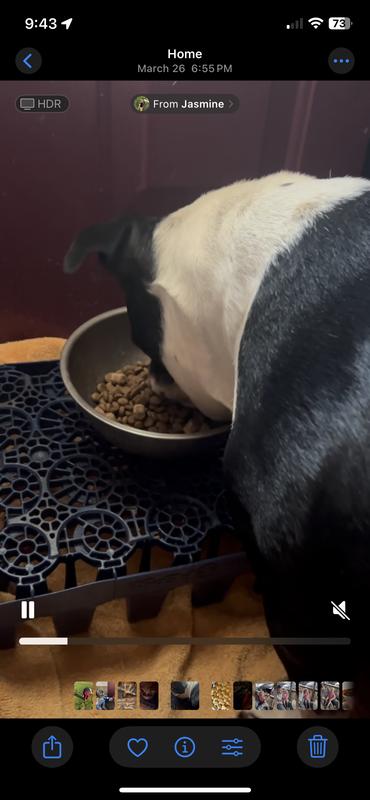 Angel trying it for the first time