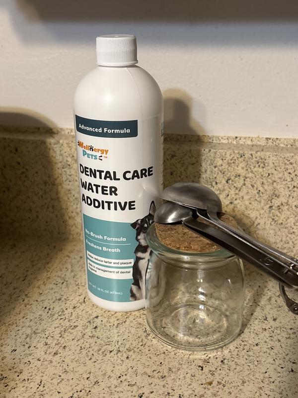 Keeping it handy for when I clean 🐾🐾 their water