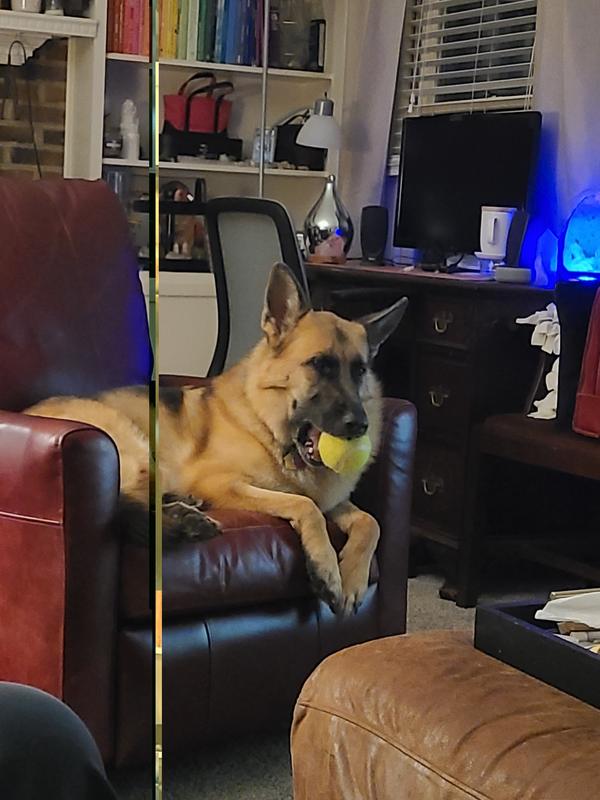 Just chilling with her stress ball