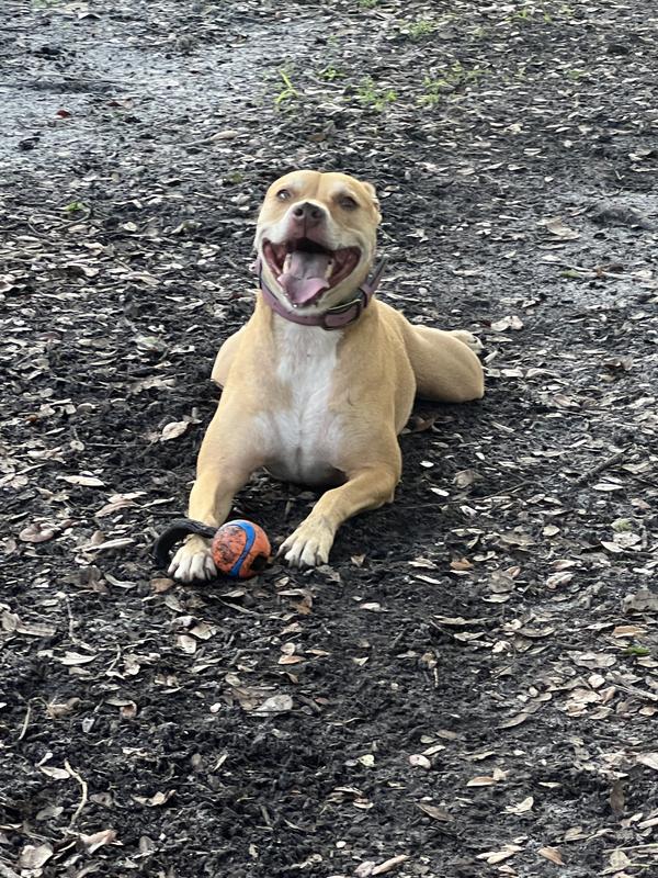 Happy Happy Saphina!