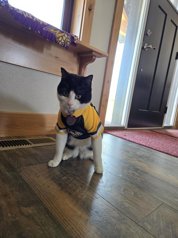 Tuxedo cat wearing a Penguins hockey jersey and looking a little upset.
