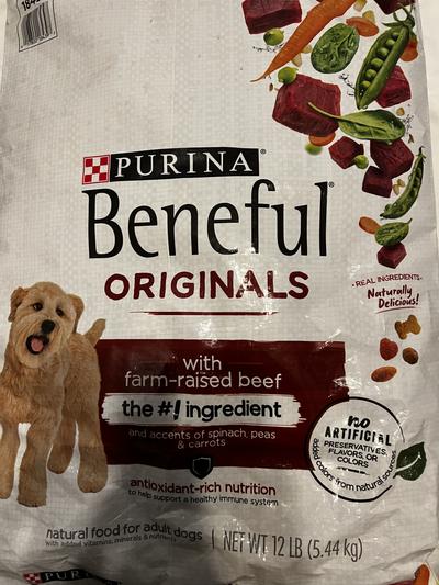 Beneful beef dog clearance food