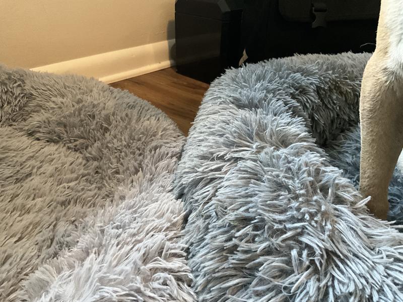 Left is the new one, half the height, dog prefers the first one,