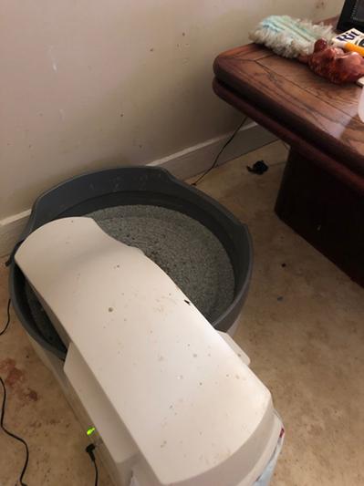 PETSAFE Simply Clean Automatic Litter Box reviews Chewy