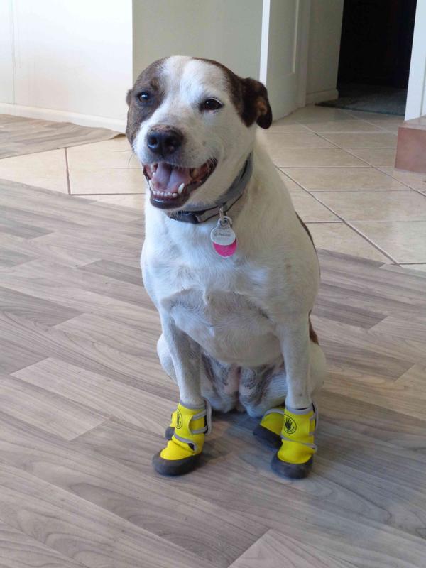 "I like my new boots!"