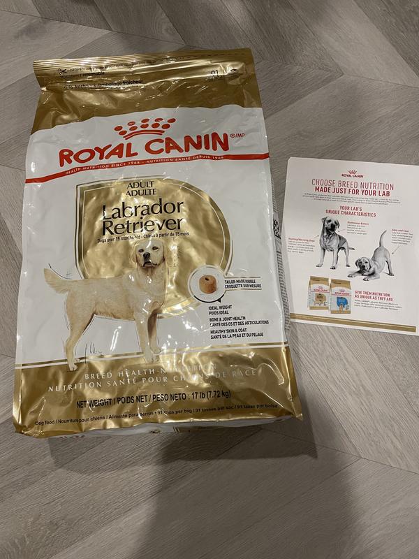 Royal canin labrador clearance review