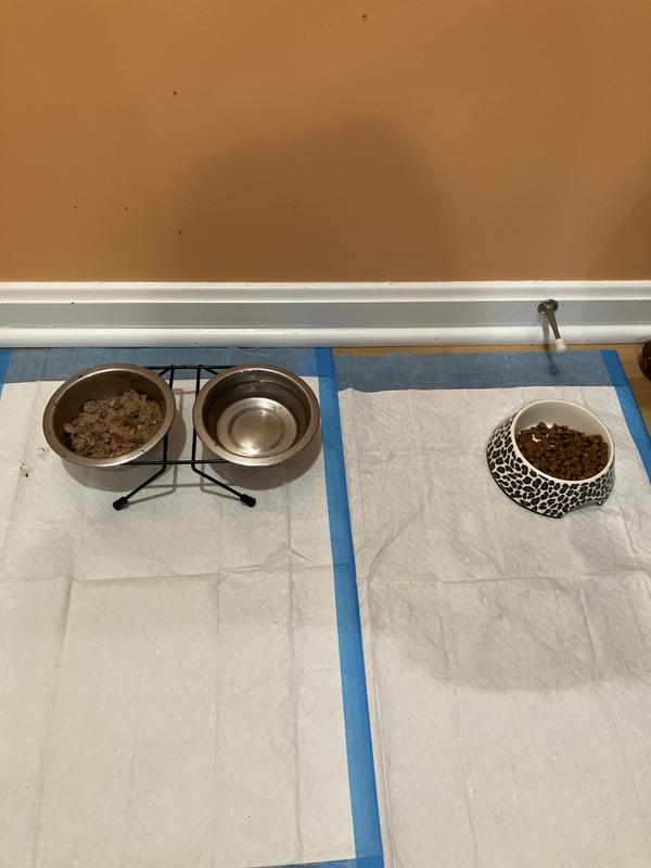 Feeding station