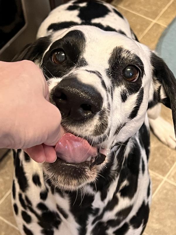 Yummy yummy in the tummy!