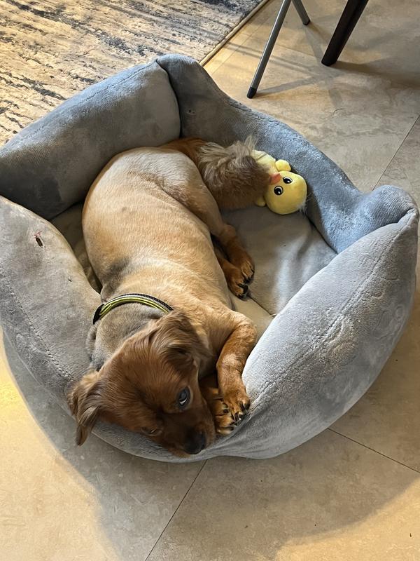 Now he has his duck.