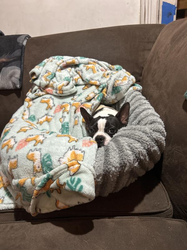 Snuggled in!