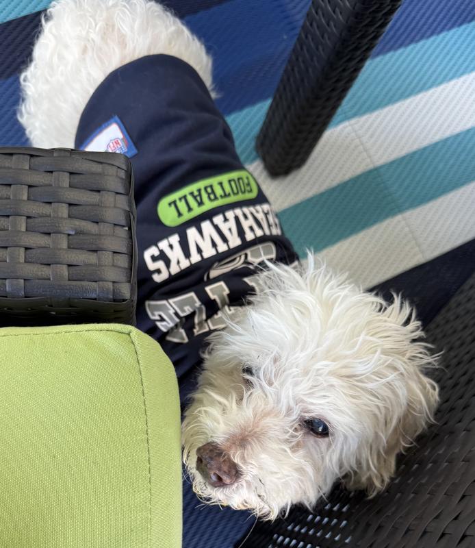 I love the Seahawks!