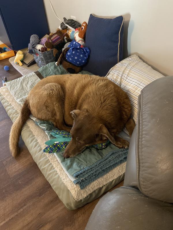 Time to nap.